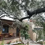 John And Tania's Garden