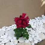 펜션 John And Tania's Garden 프리노스