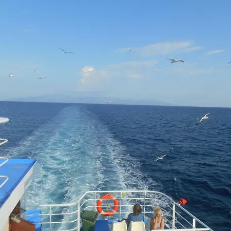 John And Tania's Garden