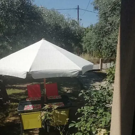 John And Tania's Garden