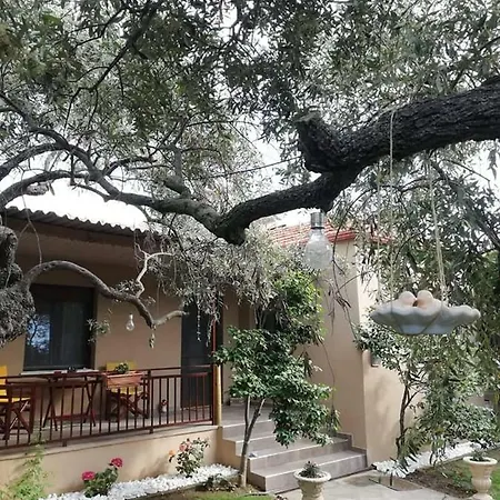 John&tania's Garden