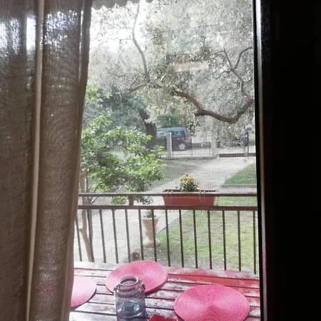 John And Tania's Garden 펜션