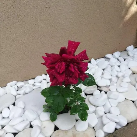 펜션 John And Tania's Garden 프리노스