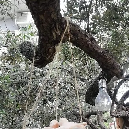 John And Tania's Garden 度假居