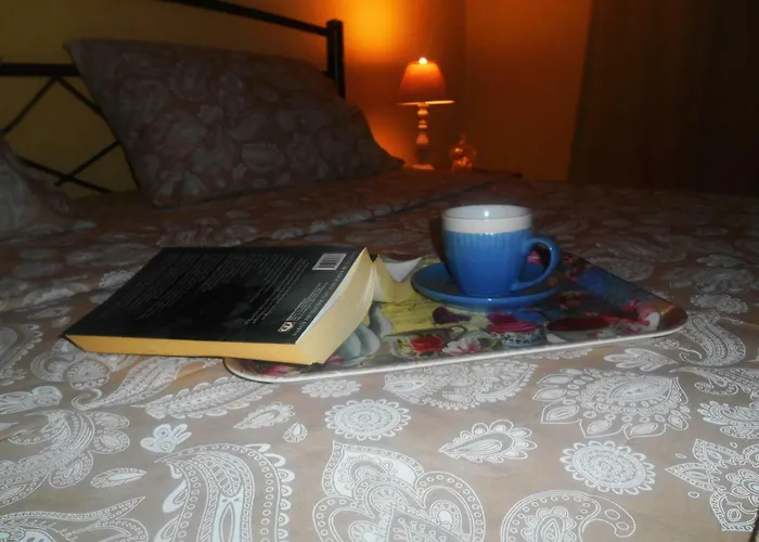 John And Tania's Garden