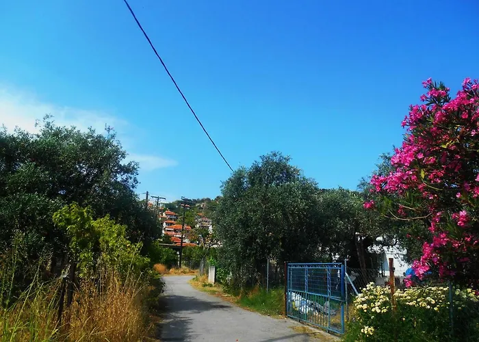 John And Tania's Garden 度假居 *