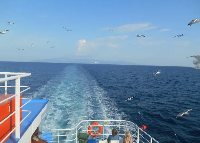 John And Tania's Garden