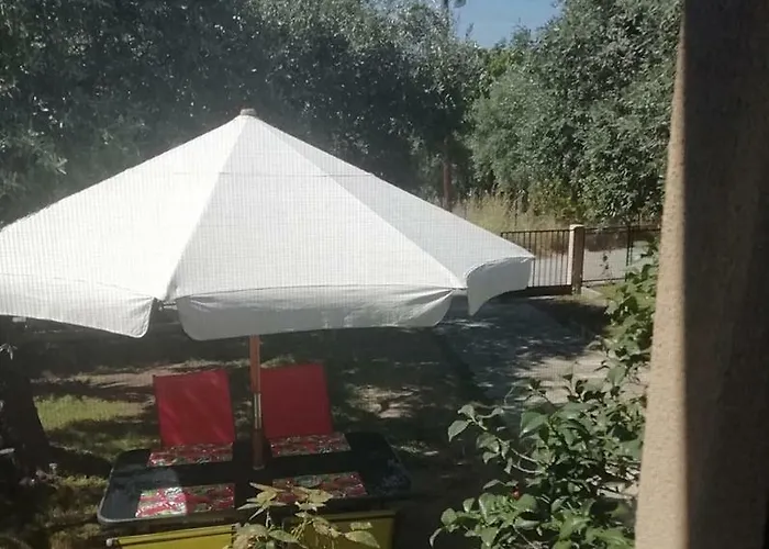 John And Tania's Garden