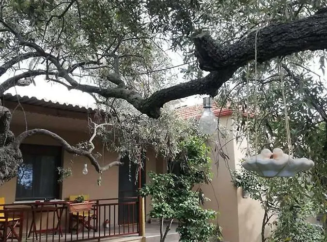 John And Tania's Garden