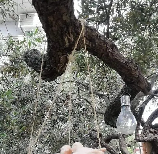 John And Tania's Garden 度假居